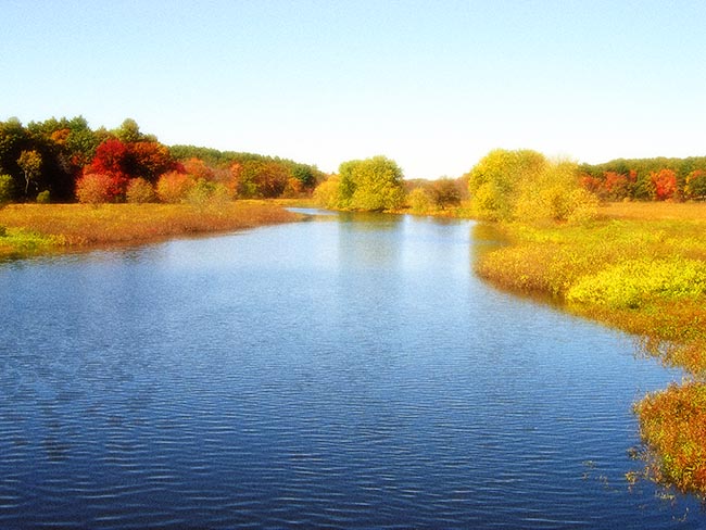 Gentle Flow