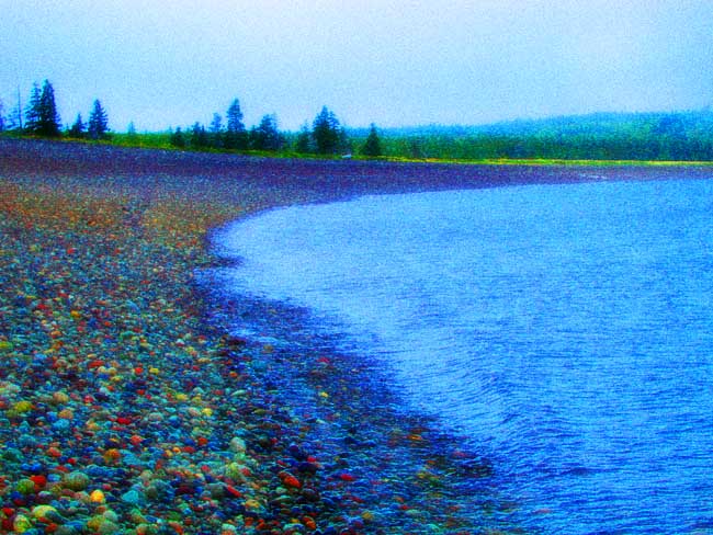 Raccoon Beach