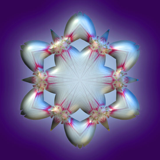 You Are the Divine