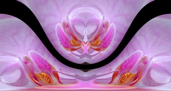 Orchid Child