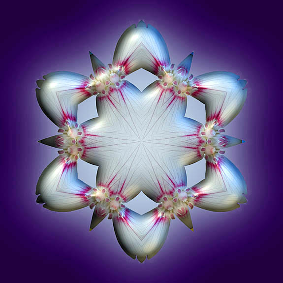 Spiritual Mastery