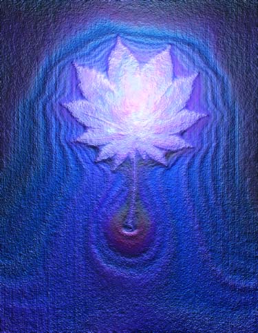 Leaf with Blue Veil