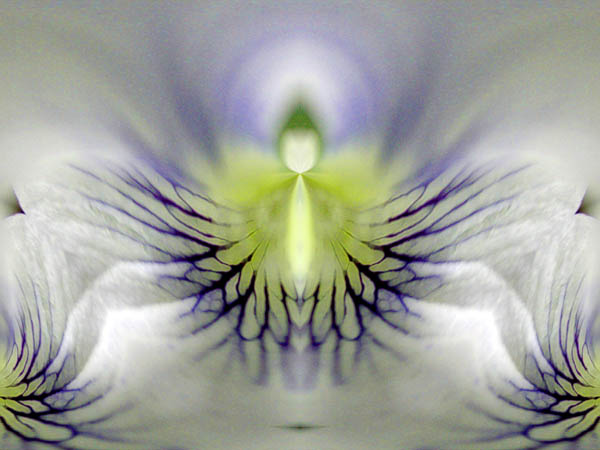Sky Yearning II