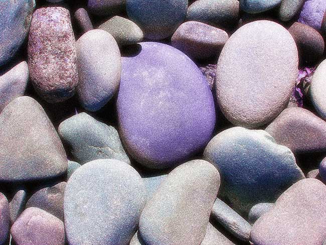 Spry Bay II