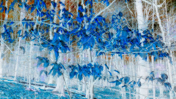 Lapis Lazuli Forest