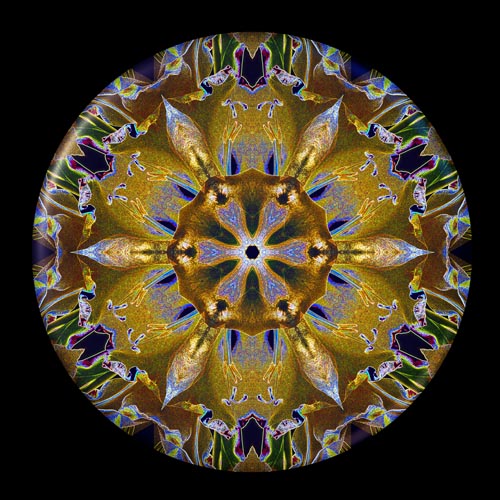 Angel_Of_Taos