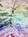 Rivers_Of_Life