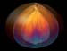 The_Seed