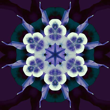 Kaleidoscope 14