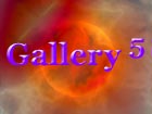 Gallery 5