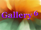 Gallery 6