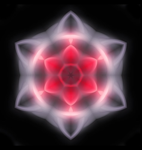 Rose of the cosmos